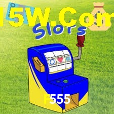 Programa VIP F555